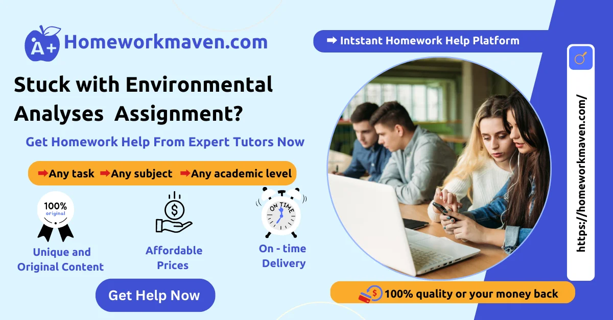 Internal and External Environmental Analyses 2 Environmental Analyses